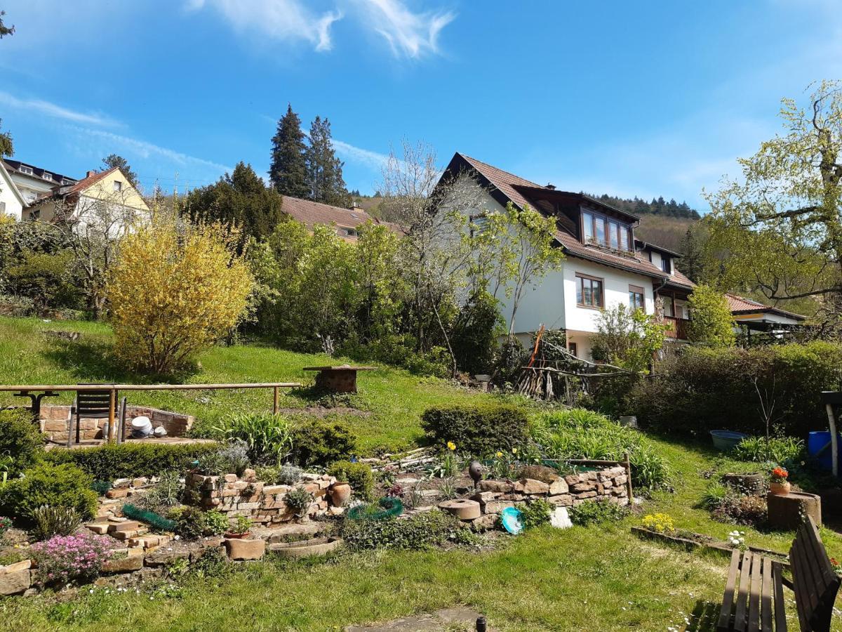 Gastehaus Endrich Hotel ไฮเดลเบิร์ก ภายนอก รูปภาพ